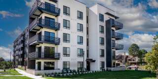 Vine at Panorama Gallery 31