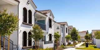 The Charlie Perris Gallery 6