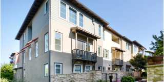 South Cove Dream Home! Gallery 1