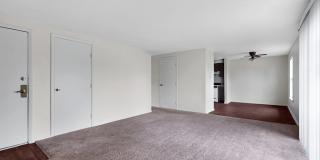 Mount Vernon Gallery 1