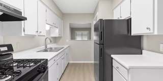 Flats at Wellington Gallery 1