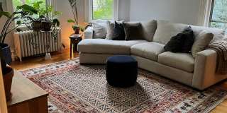 119 Antrim St Gallery 1