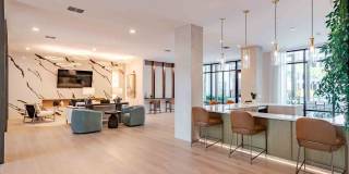 Alta Trilogy Gallery 16