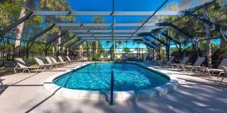 4143 Palm Forest Drive N Gallery 29