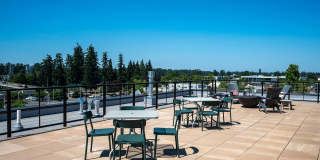 Rivenwood Gallery 17