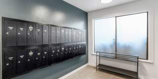 Olympic View Apartments Gallery 12