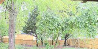 West Asheville Bungalow. 2 bedrooms, 1 bathroom. Great location! Gallery 16