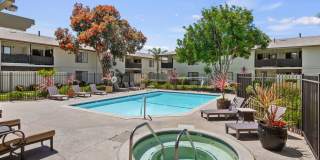 Bay Laurel Gallery 6