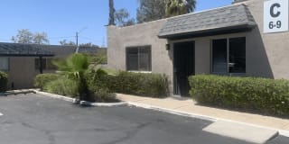 Palm Garden Gallery 4