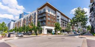 The Standard at Domain Northside Apartments Gallery 34