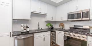 Vineyards Gallery 165