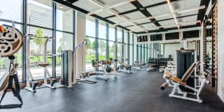 ParkLine Miami Gallery 77