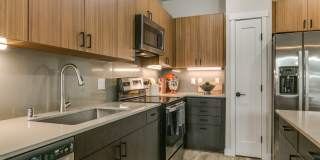 Olympus Latitude Gallery 9