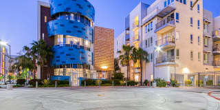 Boardwalk by Windsor Gallery 14