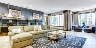 District at Medical Center Gallery 11