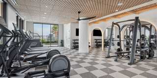 Stella at Star Metals Gallery 37