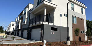 8106 Quiet Knolls Dr Gallery 1