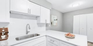 Elliot Roswell Gallery 11