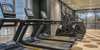 MAA Cathedral Arts MAA Cathedral Arts Gallery 31