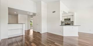 The Soleil Gallery 36