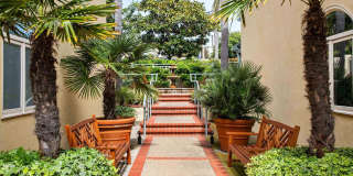 7729 Ivanhoe Avenue Gallery 28