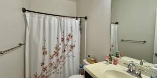 7138 Sunny Day Gallery 21