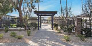 Tierra Palms Gallery 83