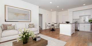 Vineyards Gallery 162