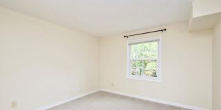 Charming 1BR/1BA Condo in Cardinal Forest, Springfield! Rent Includes Gas, Water, Sewer & Trash Gallery 9