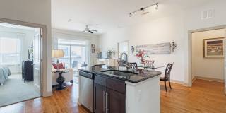 Domain at Kirby Gallery 6