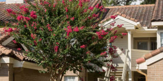 Golf Brook Apartments Gallery 26