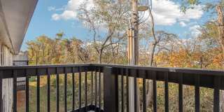 Compass Vista Gallery 10