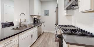 Charter Oaks Gallery 41