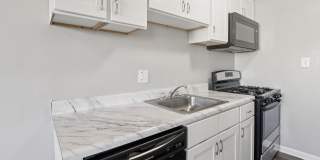 Swift at Riverdale Park Gallery 58