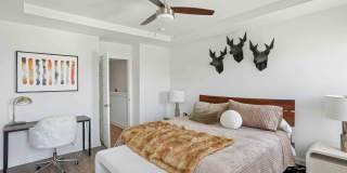 Elio at Research Park Homes for Rent Gallery 4