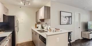 Elm Row Gallery 4