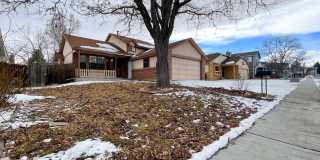 Renovated 3 bedroom 2 bathroom home in quiet Arvada neighborhood! Gallery 41