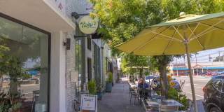 2535 Alsace Gallery 22