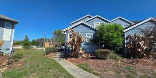 609 Caribbean Drive - B Gallery 1