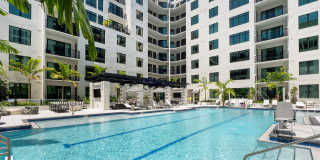 Aster & Links Gallery 11