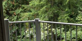 Mill Creek 3 Bedroom Corner unit Condo Gallery 12