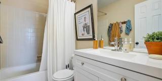 6935 Peyote Way Gallery 14