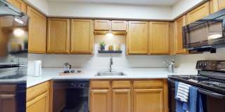 Hilton Head Gallery 14