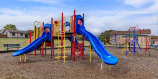 Marine Park Gallery 33