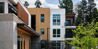 Sutter Green II Gallery 1