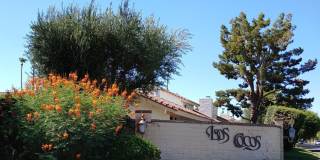 69940 Los Cocos Court Gallery 33