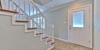 South Tampa single family Gallery 15