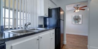 Royal Breeze Gallery 54