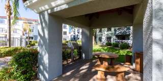 Calista Gallery 23