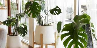 Park at Village Green Gallery 3